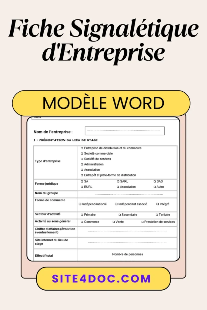 Étudiante remplissant une fiche signalétique d’entreprise sur ordinateur avec modèle Word ouvert