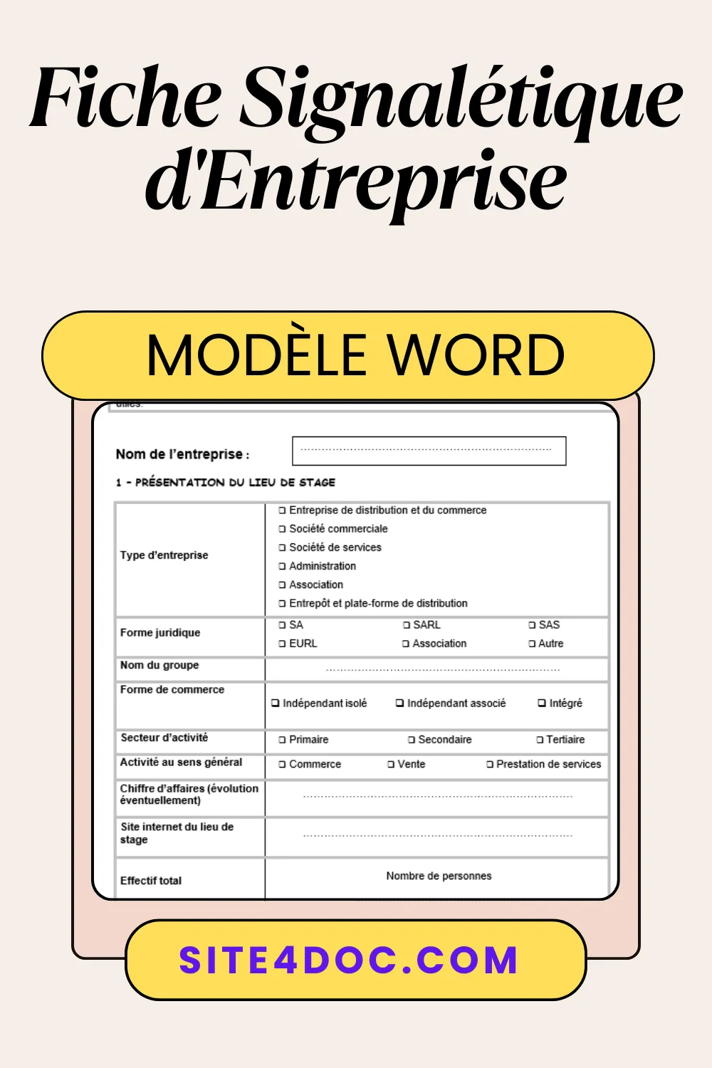 Étudiante remplissant une fiche signalétique d’entreprise sur ordinateur avec modèle Word ouvert