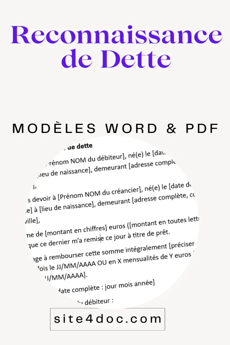 Modèle de document pour reconnaissance de dette gratuit.